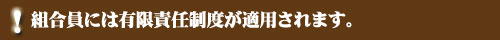 組合員には有限責任制度が適用されます。