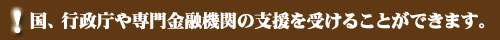 国、行政庁や専門金融機関の支援を受けることができます。